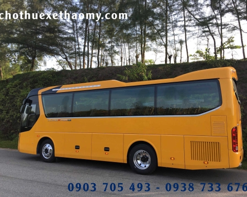 Thảo My - Địa chỉ cho thuê xe 29 chỗ uy tín, chuyên nghiệp