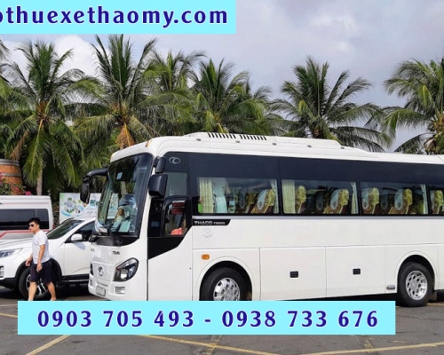 CHO THUÊ XE 16 CHỖ, 29 CHỖ ĐI HÀNH HƯƠNG UY TÍN TẠI TP.HCM