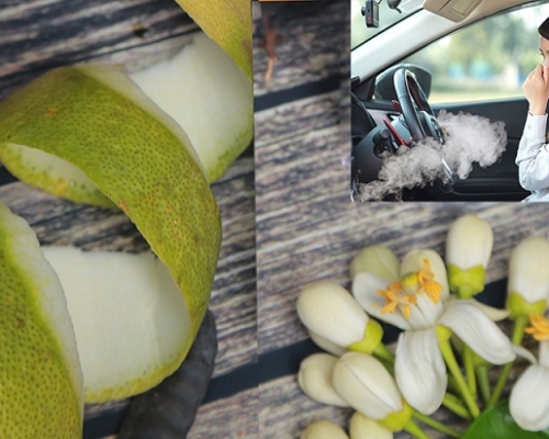 Top 5 cách khử mùi hôi xe ô tô đơn giản nhưng hiệu quả