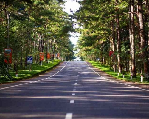 Du lịch Măng Đen 2 ngày 1 đêm và kinh nghiệm cần biết