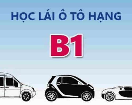 Thi bằng lái xe B1 cần chuẩn bị những gì, kinh nghiệm cần biết