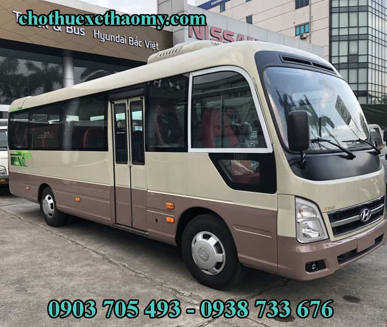 Thảo My sở hữu nhiều loại xe 29 cho thuê đáp ứng mọi yêu cầu của khách hàng