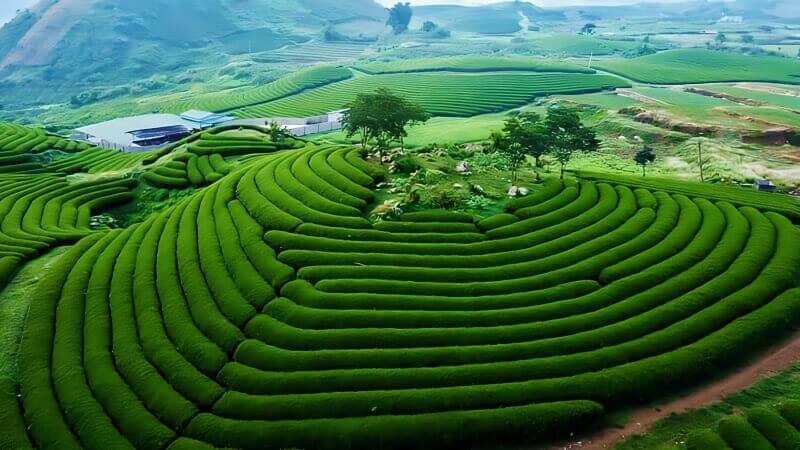 Những địa điểm du lịch hè được nhiều người yêu thích