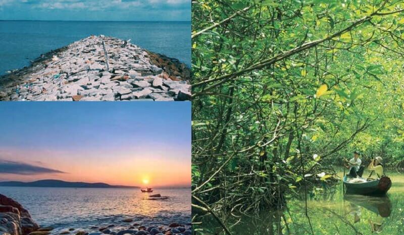 Cần Giờ - Điểm đến không nên bỏ qua trong kỳ nghỉ lễ Tết