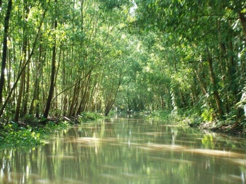 Chọn xe phù hợp nhu cầu, tiết kiệm chi phí