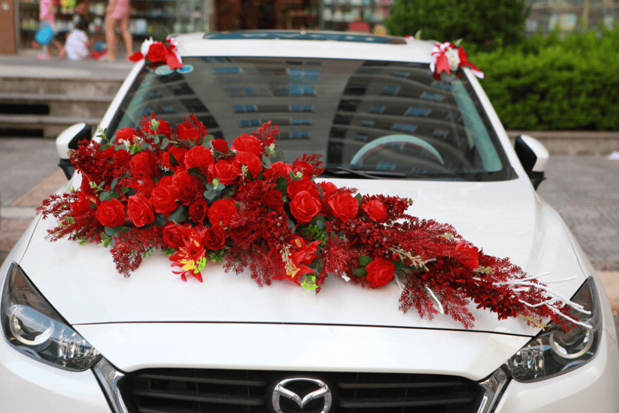 DỊCH VỤ CHO THUÊ XE THẢO MY