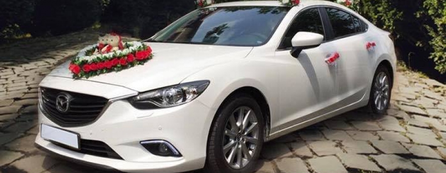 Giá Cả Cạnh Tranh, Minh Bạch