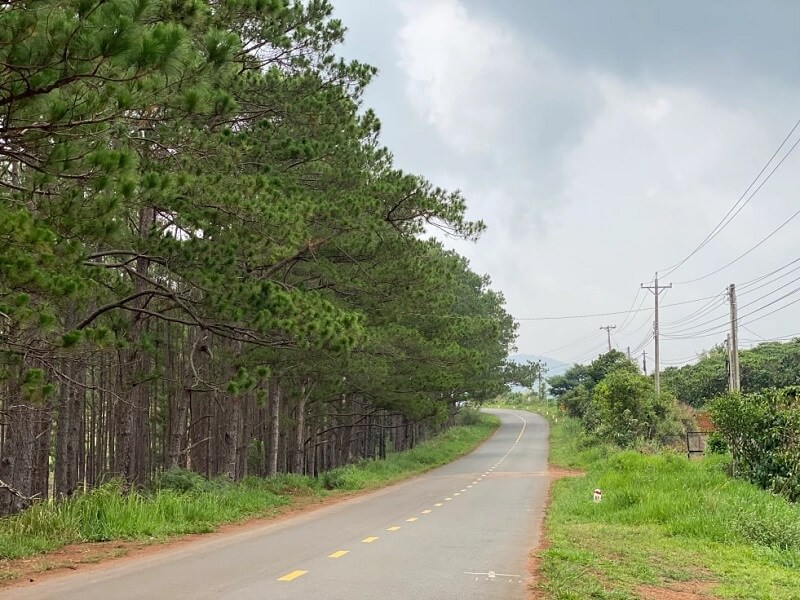 Từ Sài Gòn đi Bảo Lộc bao nhiêu tiếng, gần hay xa?